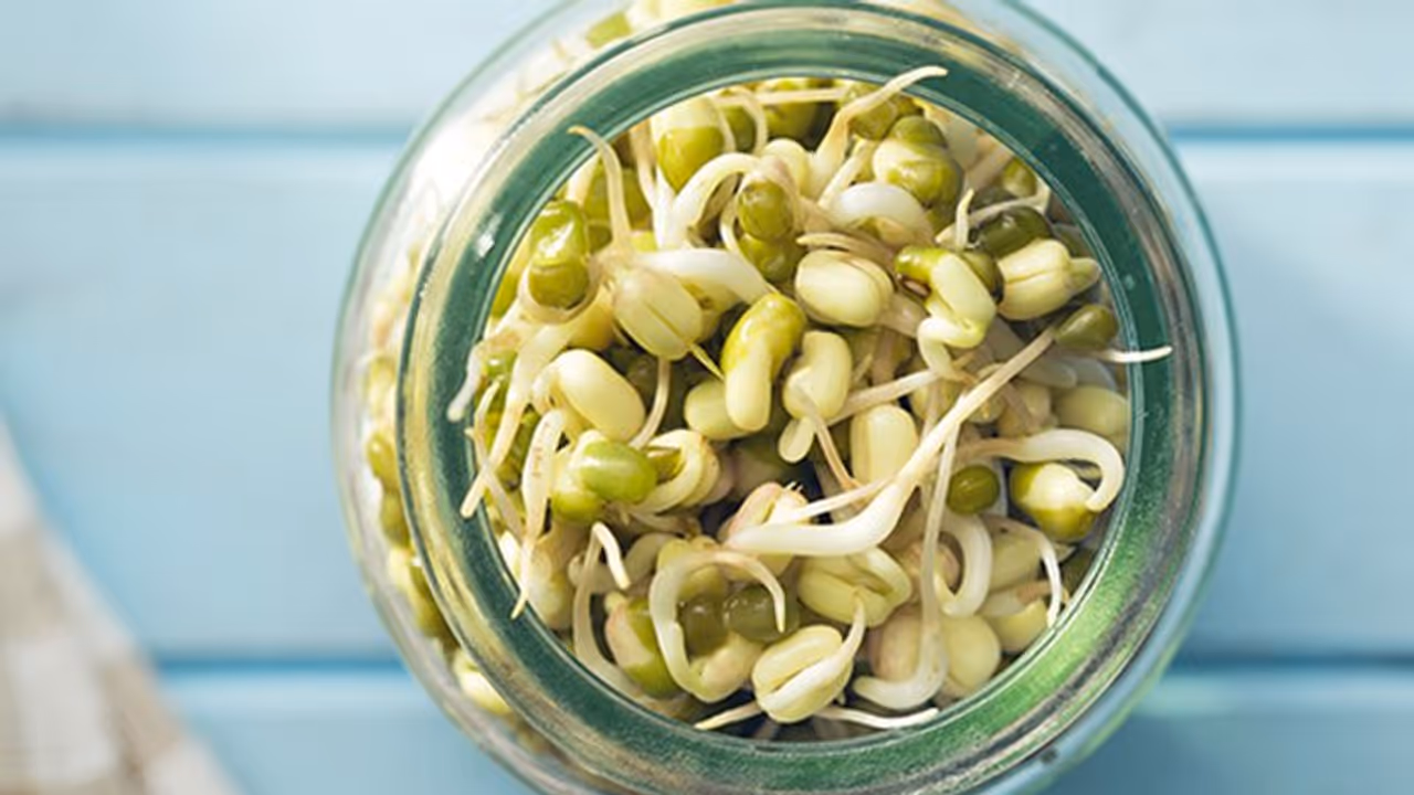 മുളപ്പിച്ച പയർവർഗങ്ങൾ കഴിക്കൂ; ഗുണങ്ങൾ ചെറുതൊന്നുമല്ല മുളപ്പിച്ച പയർവർഗങ്ങൾ കഴിക്കൂ; ഗുണങ്ങൾ ചെറുതൊന്നുമല്ല