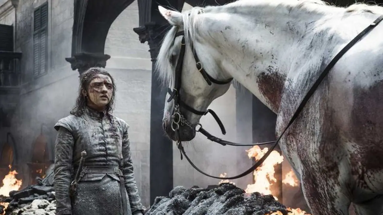 Game of Thrones: Fans come up with theories on Arya Stark’s horse scene Game of Thrones: Fans come up with theories on Arya Stark’s horse scene