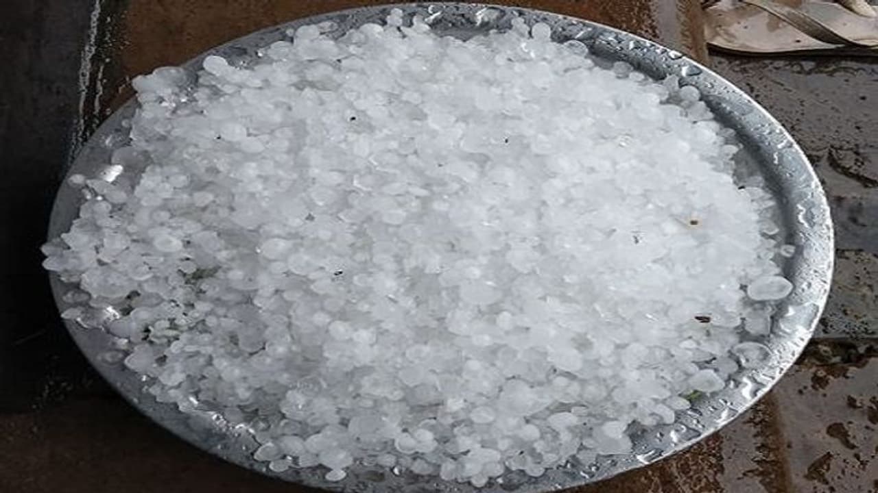 ಕೊಡಗಿನ ರಸ್ತೆಯಲ್ಲೇ ರಾಶಿ ರಾಶಿ ಮುತ್ತುಗಳು... ಆರಿಸಿಕೊಂಡವನೇ ಬುದ್ಧಿವಂತ! ಕೊಡಗಿನ ರಸ್ತೆಯಲ್ಲೇ ರಾಶಿ ರಾಶಿ ಮುತ್ತುಗಳು... ಆರಿಸಿಕೊಂಡವನೇ ಬುದ್ಧಿವಂತ!