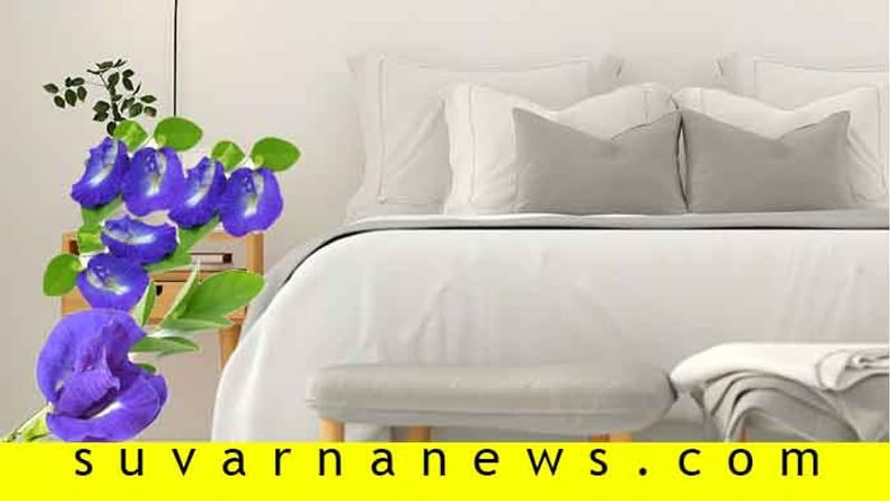 ಕಿಟಕಿ ಬಳಿ ಬೆಡ್ ಇದ್ದರೆ ದಾಂಪತ್ಯಕ್ಕೆ ಆಪತ್ತು...!