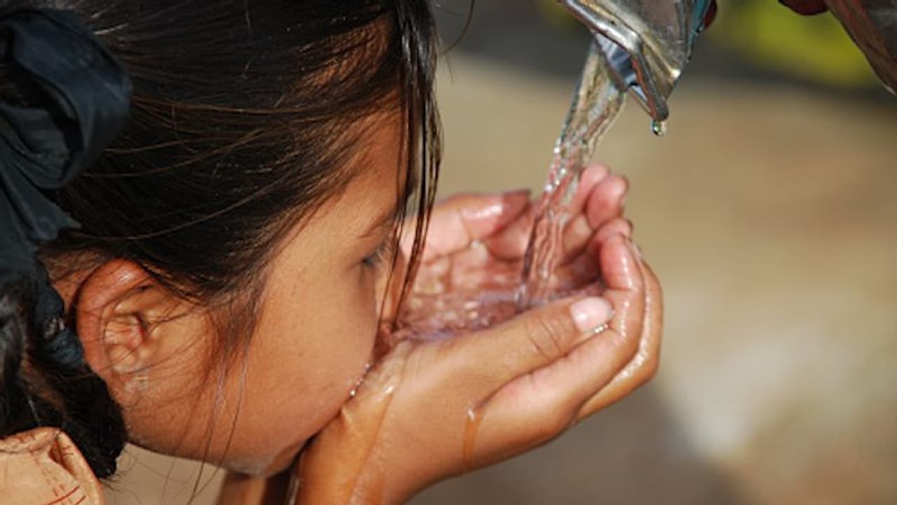 59 കുട്ടികൾക്ക് മഞ്ഞപ്പിത്തം, അരൂർ എഎംയുപി സ്കൂൾ അടച്ചു, പുളിക്കൽ പഞ്ചായത്തിൽ 102 പേർക്ക് രോഗബാധ 