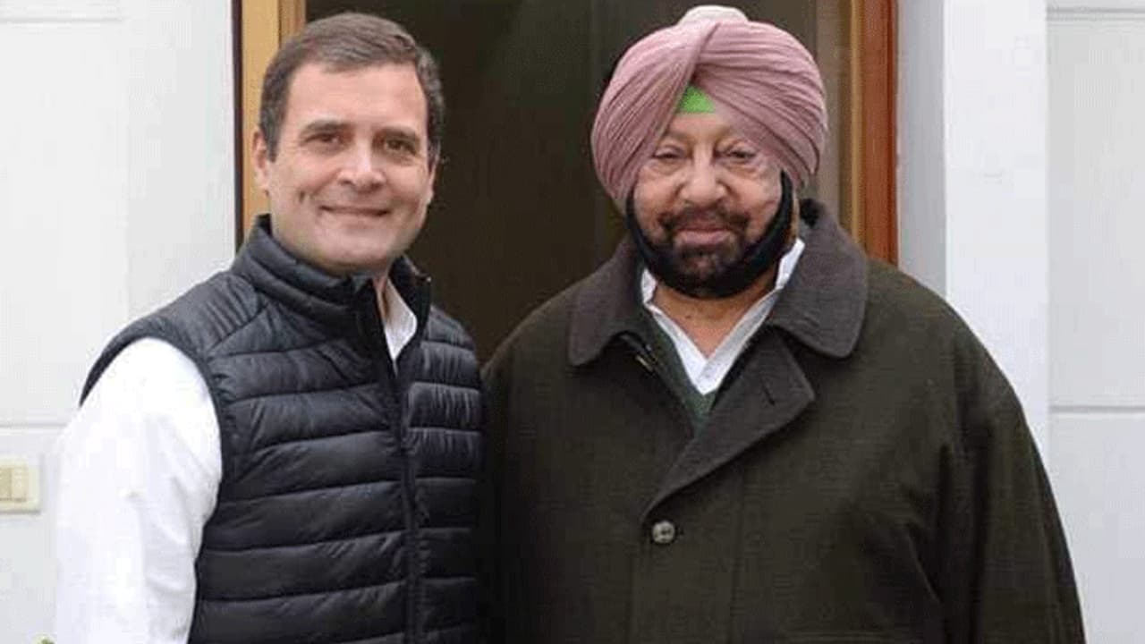 Punjab local body polls: Congress wins big, mayoral post in Bathinda; setback for BJP amid farmers' protest