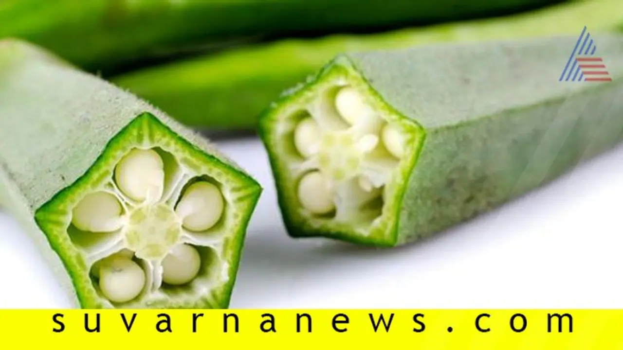 ಬೆಂಡೆಕಾಯಿ ಮಾಸ್ಕ್ ಹಾಕಿ ಸೌಂದರ್ಯದ ಎಲ್ಲಾ ಸಮಸ್ಯೆ ನಿವಾರಿಸಿ ! ಬೆಂಡೆಕಾಯಿ ಮಾಸ್ಕ್ ಹಾಕಿ ಸೌಂದರ್ಯದ ಎಲ್ಲಾ ಸಮಸ್ಯೆ ನಿವಾರಿಸಿ !