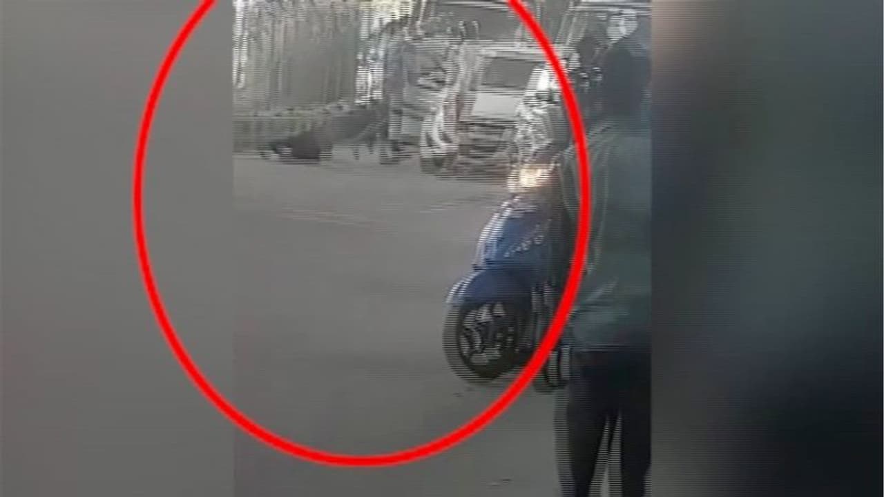 സിനിമയെ വെല്ലുന്ന രംഗങ്ങള്; പട്ടാപ്പകല് നടുറോഡിൽ ഗുണ്ടാസംഘങ്ങള് തമ്മില് വെടിവെപ്പ്, രണ്ട് പേർ കൊല്ലപ്പെട്ടു സിനിമയെ വെല്ലുന്ന രംഗങ്ങള്; പട്ടാപ്പകല് നടുറോഡിൽ ഗുണ്ടാസംഘങ്ങള് തമ്മില് വെടിവെപ്പ്, രണ്ട് പേർ കൊല്ലപ്പെട്ടു