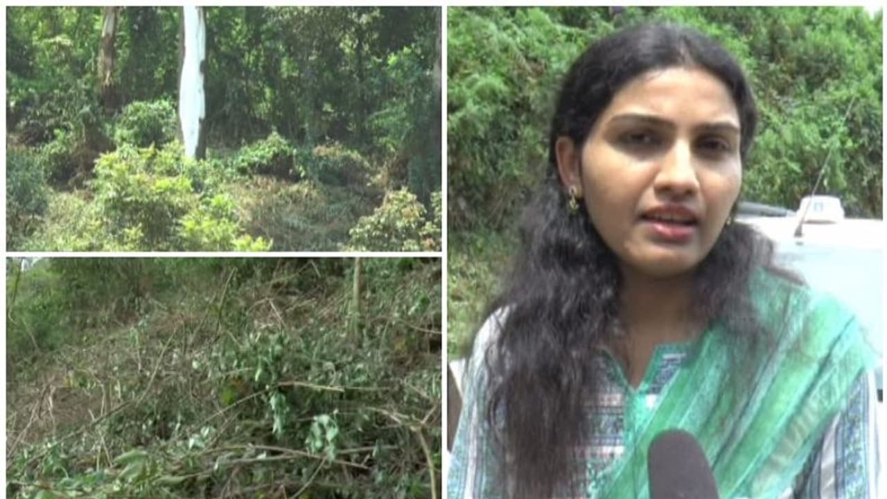 മൂന്നാറില് പട്ടാപകല് സര്ക്കാര് സ്ഥലം കയ്യേറാനുള്ള ശ്രമം; സബ് കളക്ടറെ കണ്ട് ഓടി രക്ഷപ്പെട്ട് കയ്യേറ്റക്കാര് മൂന്നാറില് പട്ടാപകല് സര്ക്കാര് സ്ഥലം കയ്യേറാനുള്ള ശ്രമം; സബ് കളക്ടറെ കണ്ട് ഓടി രക്ഷപ്പെട്ട് കയ്യേറ്റക്കാര്