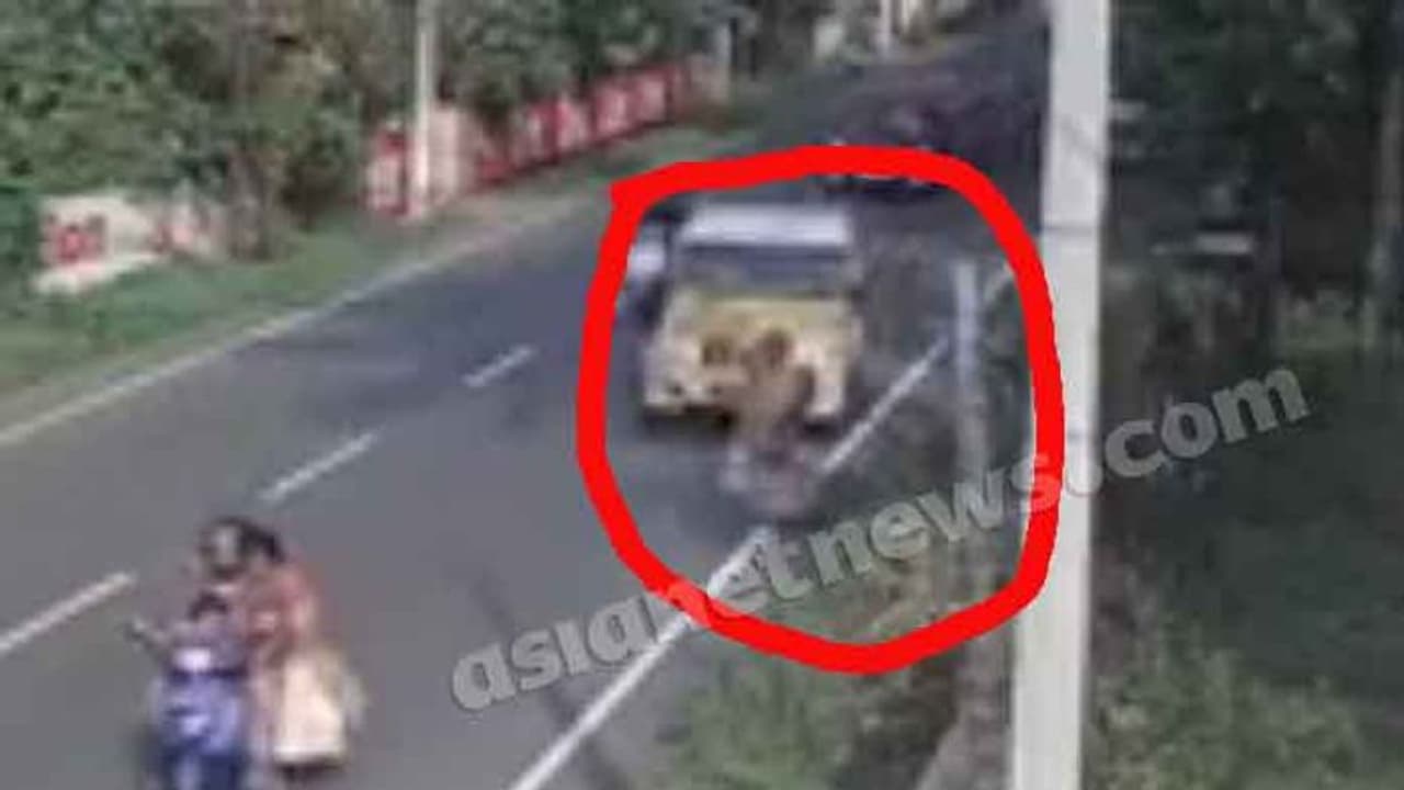 ഡ്രൈവര് ഉറങ്ങി, കാല്നടയാത്രക്കാരിയെ ഇടിച്ച് തെറിപ്പിച്ച് പിക്കപ്പ്; ഡ്രൈവര് അറസ്റ്റില് ഡ്രൈവര് ഉറങ്ങി, കാല്നടയാത്രക്കാരിയെ ഇടിച്ച് തെറിപ്പിച്ച് പിക്കപ്പ്; ഡ്രൈവര് അറസ്റ്റില്