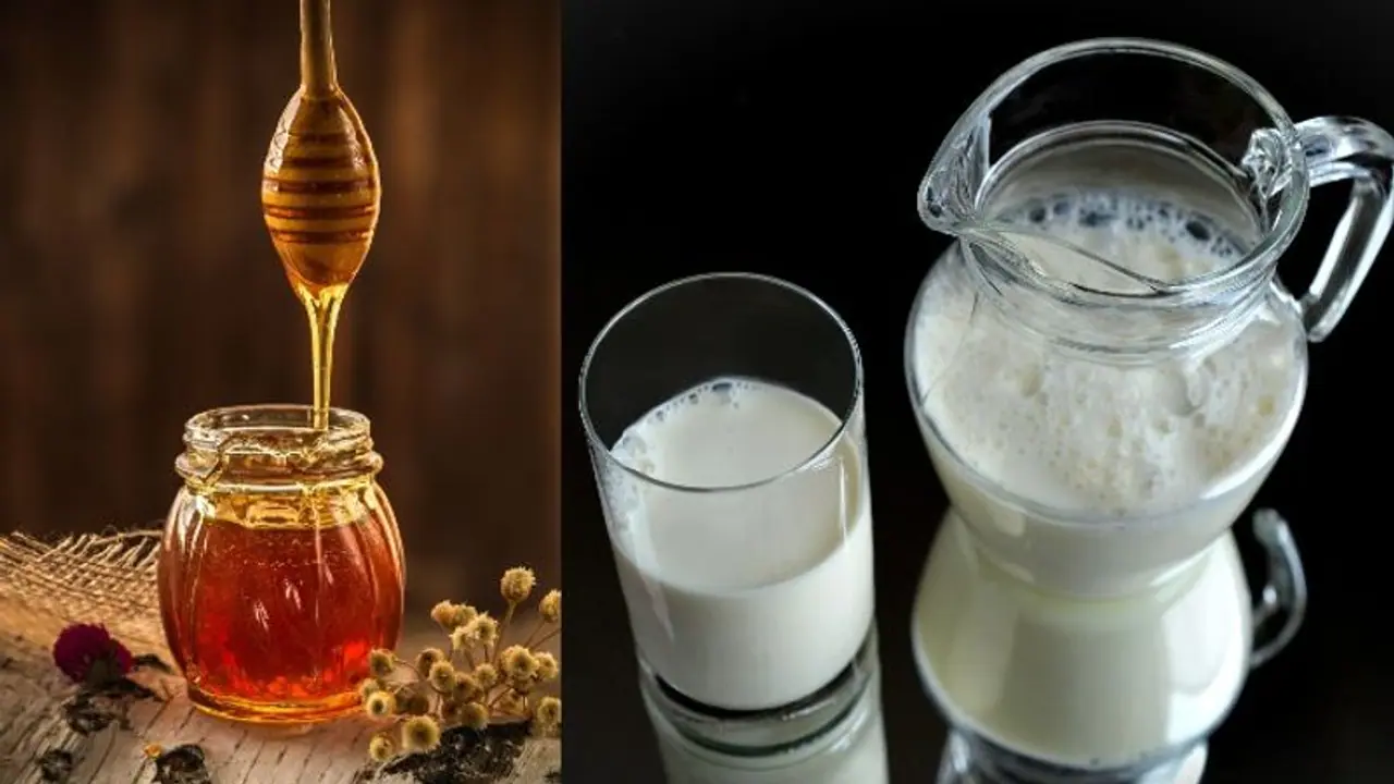 এক কাপ দুধ মধু! নানা সমস্যার ফল পাবেন ম্যাজিকের মতো এক কাপ দুধ মধু! নানা সমস্যার ফল পাবেন ম্যাজিকের মতো