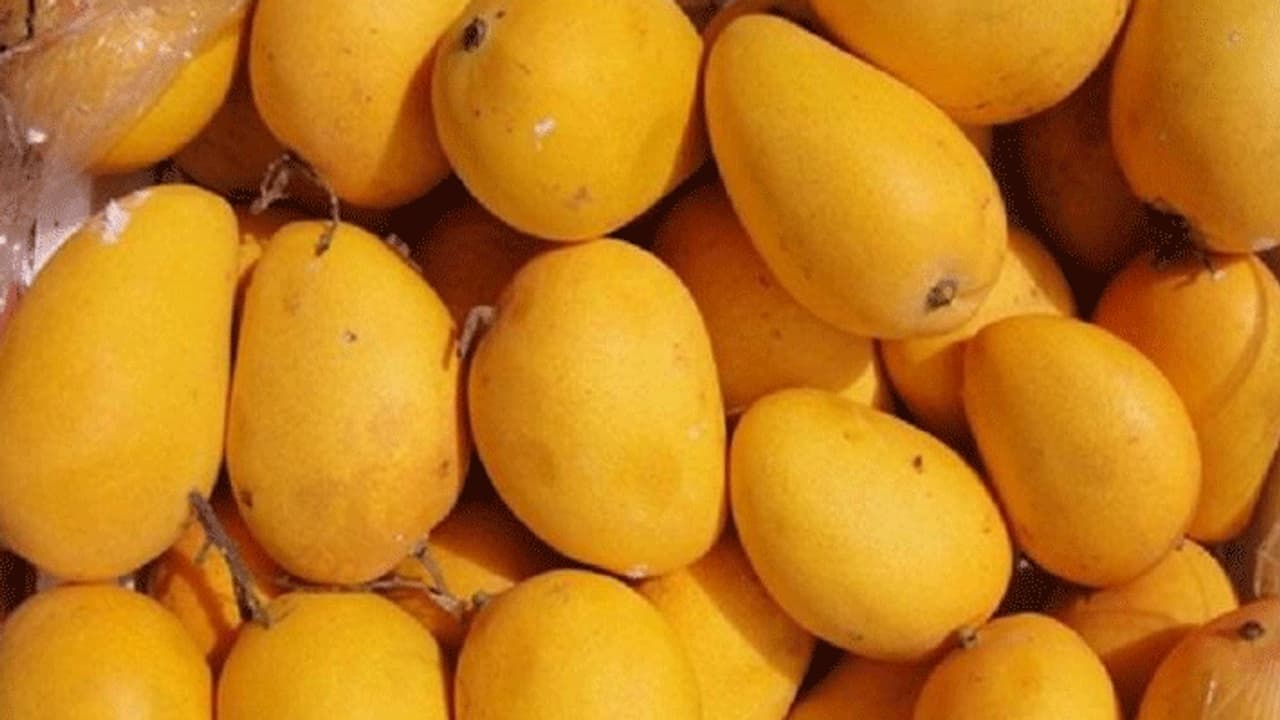 மக்களே உஷார்... உடல்நல கோளாறை ஏற்படுத்தும் மாழ்பழம்..! மக்களே உஷார்... உடல்நல கோளாறை ஏற்படுத்தும் மாழ்பழம்..!