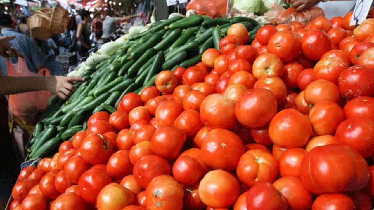 இனி ஓட்டலில் தக்காளி சட்னி கிடைக்குமா..? விலை உயர்வால் விவசாயிகள் மகிழ்ச்சி... இல்லத்தரசிகள் அதிர்ச்சி..! இனி ஓட்டலில் தக்காளி சட்னி கிடைக்குமா..? விலை உயர்வால் விவசாயிகள் மகிழ்ச்சி... இல்லத்தரசிகள் அதிர்ச்சி..!