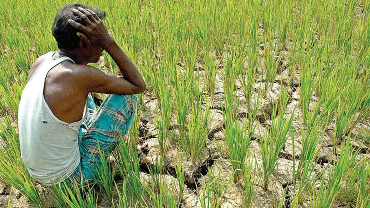 அணையில் 'தண்ணிய காணோம்'... காயும் பயிர்கள்... கவலையில் விவசாயிகள்..! அணையில் 'தண்ணிய காணோம்'... காயும் பயிர்கள்... கவலையில் விவசாயிகள்..!