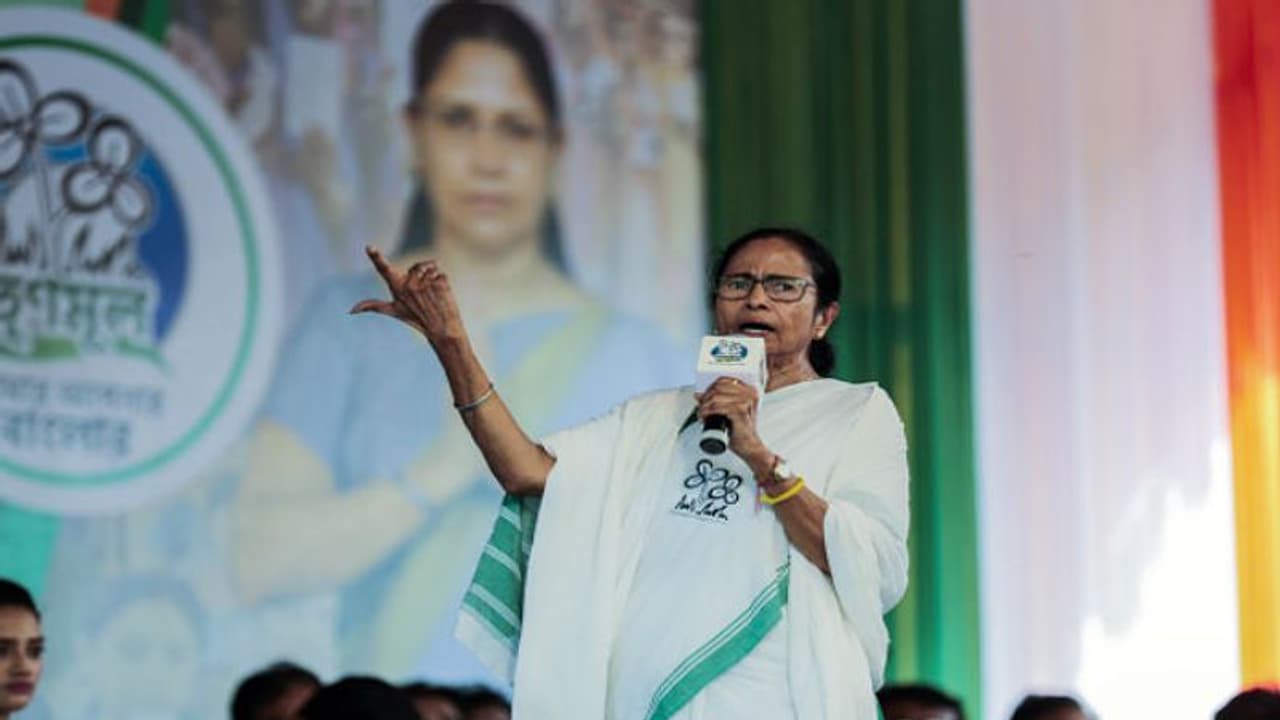 সাপে কাটার ভয়! মুখ্যমন্ত্রী জানালেন কেন তিনি এলিয়ট পার্ক যান না সাপে কাটার ভয়! মুখ্যমন্ত্রী জানালেন কেন তিনি এলিয়ট পার্ক যান না