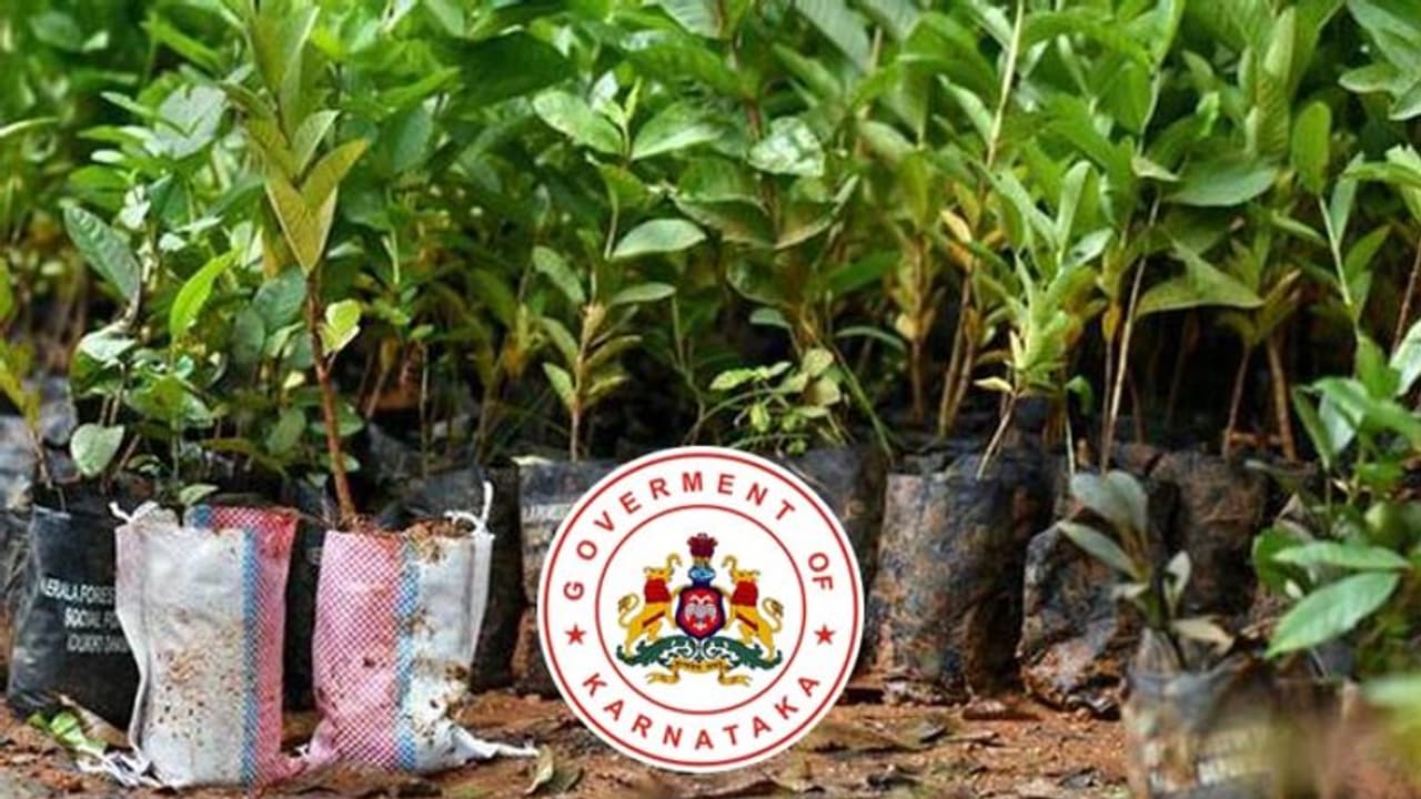 ಅರಣ್ಯ ಇಲಾಖೆ ಸಸಿಗಳ ಬೆಲೆ ವಿಪರೀತ ಹೆಚ್ಚಳ: ಅನ್ನದಾತರ ಆಕ್ರೋಶ