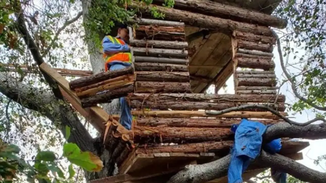 അത്യാധുനിക സൗകര്യങ്ങളുള്ള ഏറുമാടത്തിൽ സുഖവാസം; മോഷ്ടാവ് പിടിയിൽ