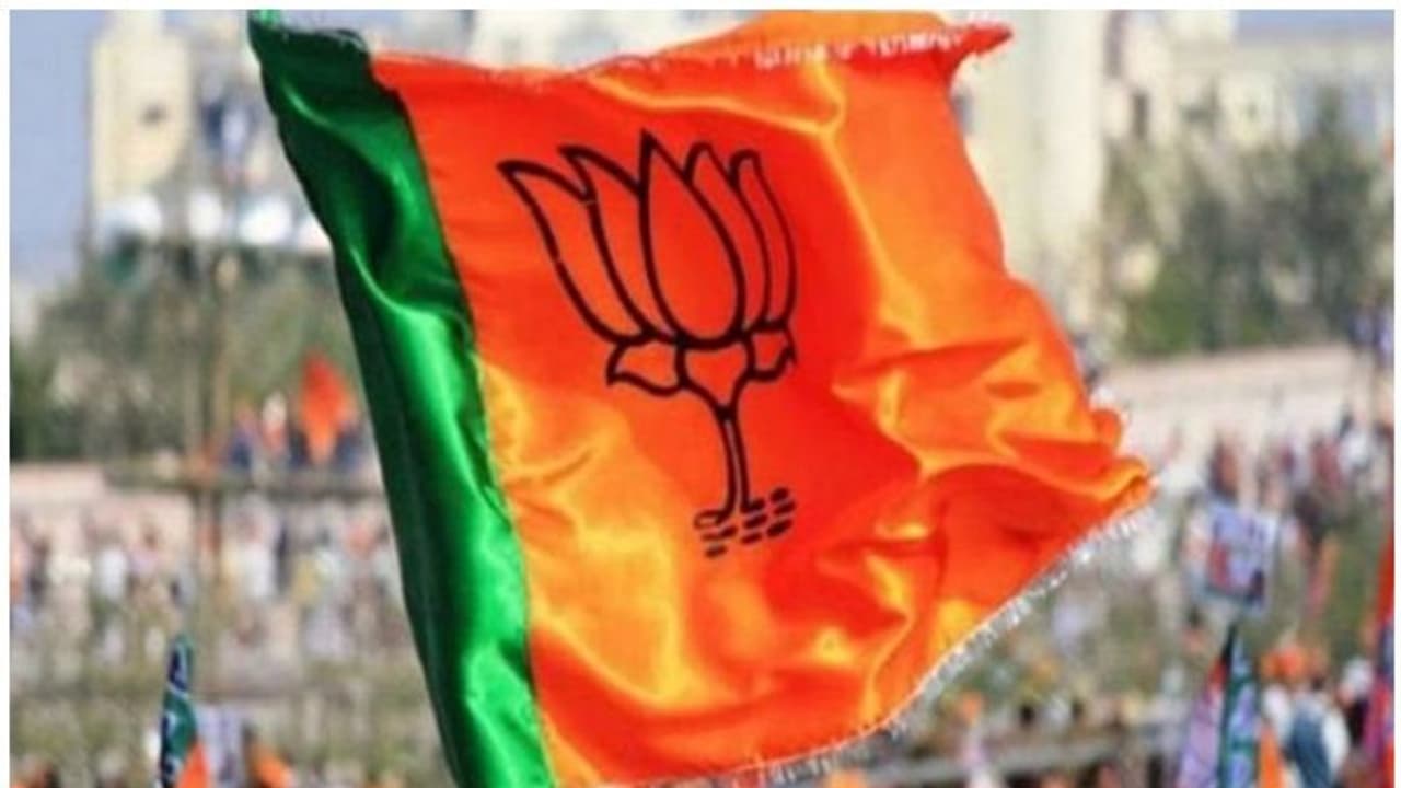 BJP ready to play waiting game in Karnataka