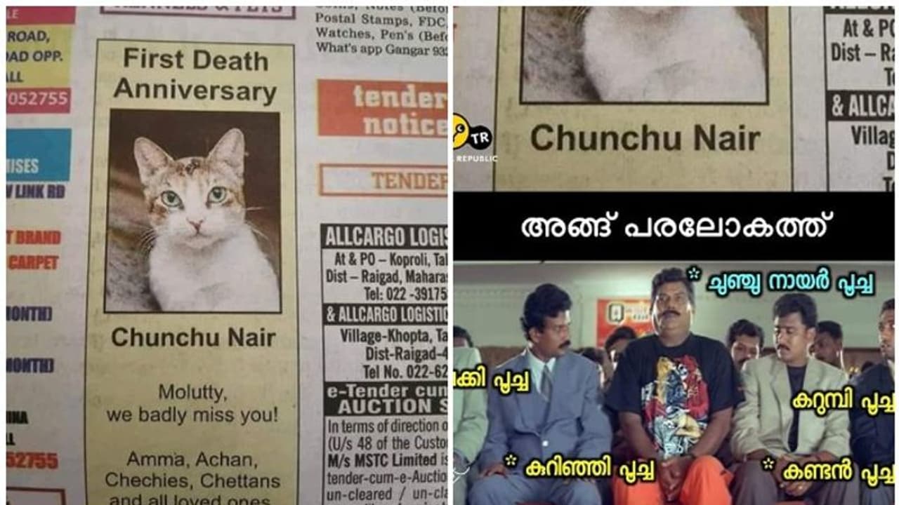 'ചുഞ്ചു നായരു'ടെ മരണം; ചരമവാര്ഷികത്തില് കണ്ണീരോടെ വീട്ടുകാര്, ട്രോളുമായി നാട്ടുകാര് 'ചുഞ്ചു നായരു'ടെ മരണം; ചരമവാര്ഷികത്തില് കണ്ണീരോടെ വീട്ടുകാര്, ട്രോളുമായി നാട്ടുകാര്