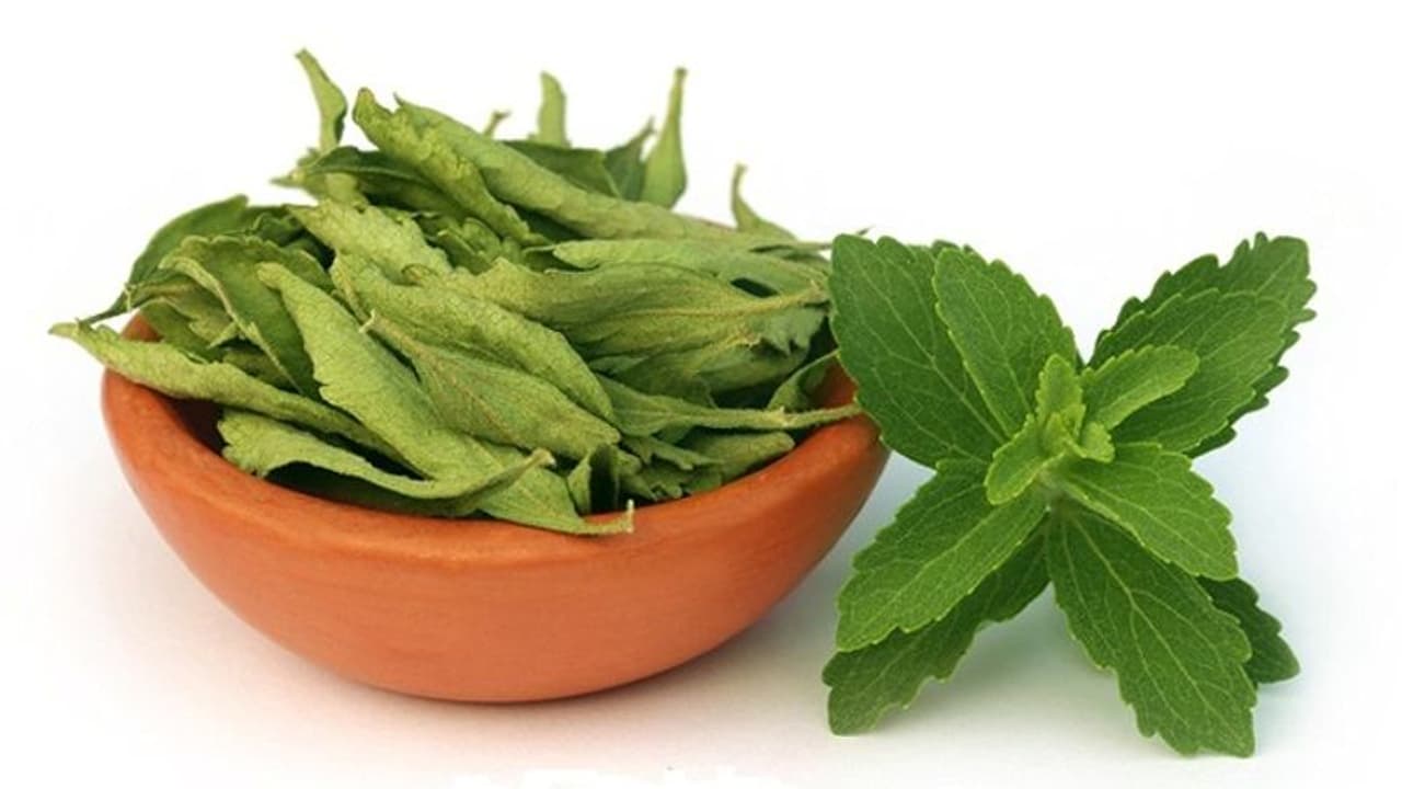 সুস্থ থাকতে চিনির বিকল্প হিসেবে বেছে নিন স্টেভিয়া, বাড়িতেই বপন করতে পারেন এই গাছ