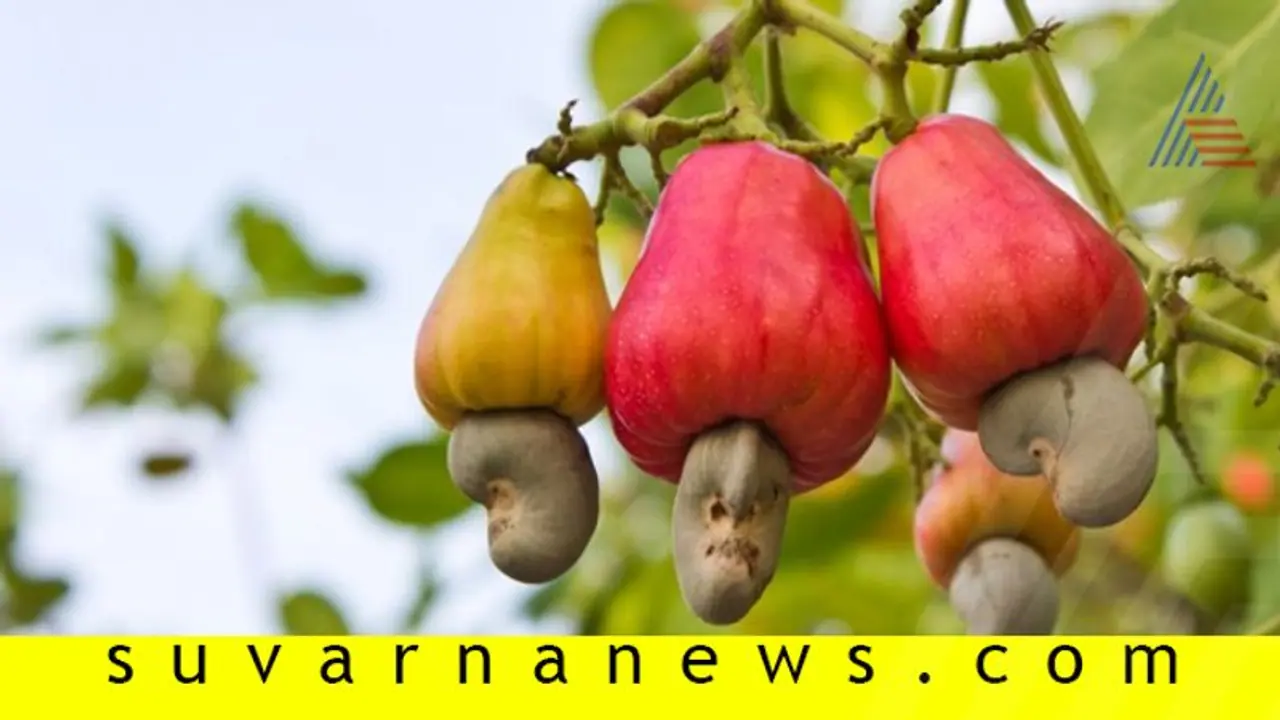 ಸುಲಭವಾಗಿ ಸಿಗೋ ಈ ಹಣ್ಣು ಹಲವು ರೋಗಕ್ಕೆ ಮಹಾ ಮದ್ದು...!