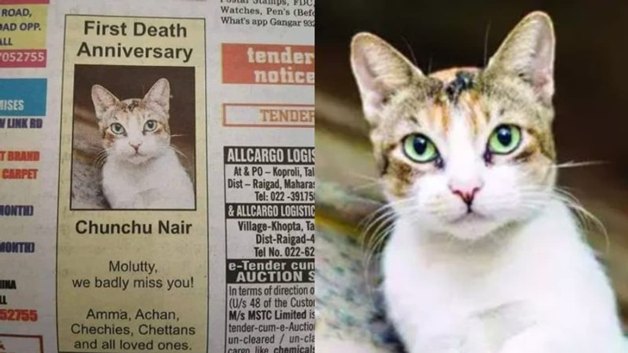 'ചുഞ്ചു നായര് ഞങ്ങളുടെ റാണി': ജാതിപ്പേര് നൽകിയതിൽ കുടുംബത്തിന്റെ വിശദീകരണം 'ചുഞ്ചു നായര് ഞങ്ങളുടെ റാണി': ജാതിപ്പേര് നൽകിയതിൽ കുടുംബത്തിന്റെ വിശദീകരണം