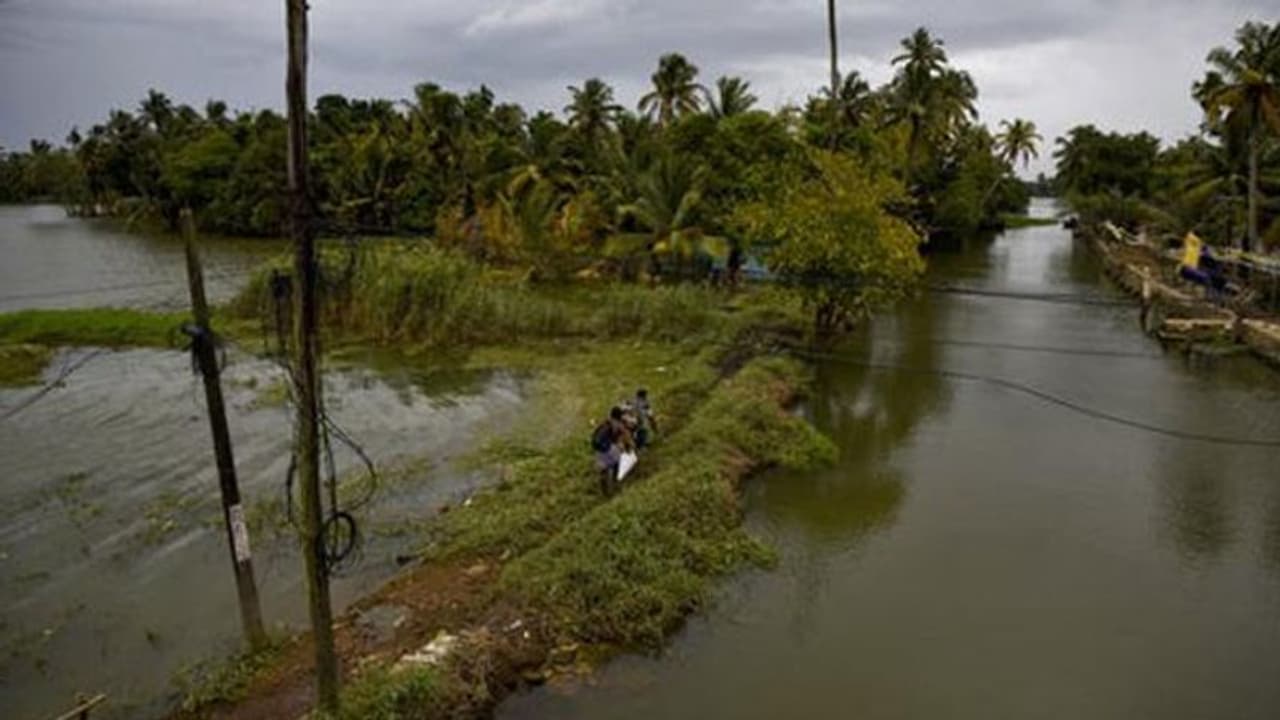 കടുത്ത വേനലിലും കുട്ടനാട്ടില് വെള്ളപ്പൊക്കം കടുത്ത വേനലിലും കുട്ടനാട്ടില് വെള്ളപ്പൊക്കം