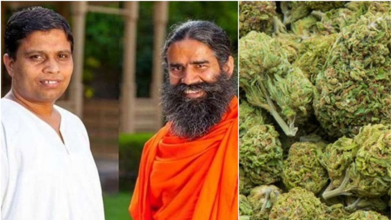 കഞ്ചാവ് നിരോധനം നീക്കണമെന്ന് ബാബാ രാംദേവിന്റെ കമ്പനി പതഞ്ജലി കഞ്ചാവ് നിരോധനം നീക്കണമെന്ന് ബാബാ രാംദേവിന്റെ കമ്പനി പതഞ്ജലി