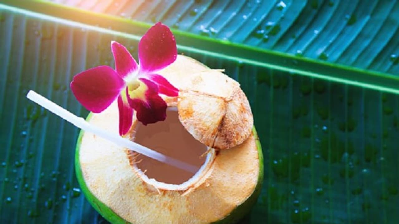 ಜೋಮ್ಯಾಟೋ ಏಳನೀರು ಮಾರಿದರೆ ಬೆಲೆ ಎಷ್ಟು? ಗ್ರಾಹಕನಿಗೆ ವಿಧಿಸುವ ಚಾರ್ಜಸ್ ಕುರಿತ ಟ್ರೋಲ್!