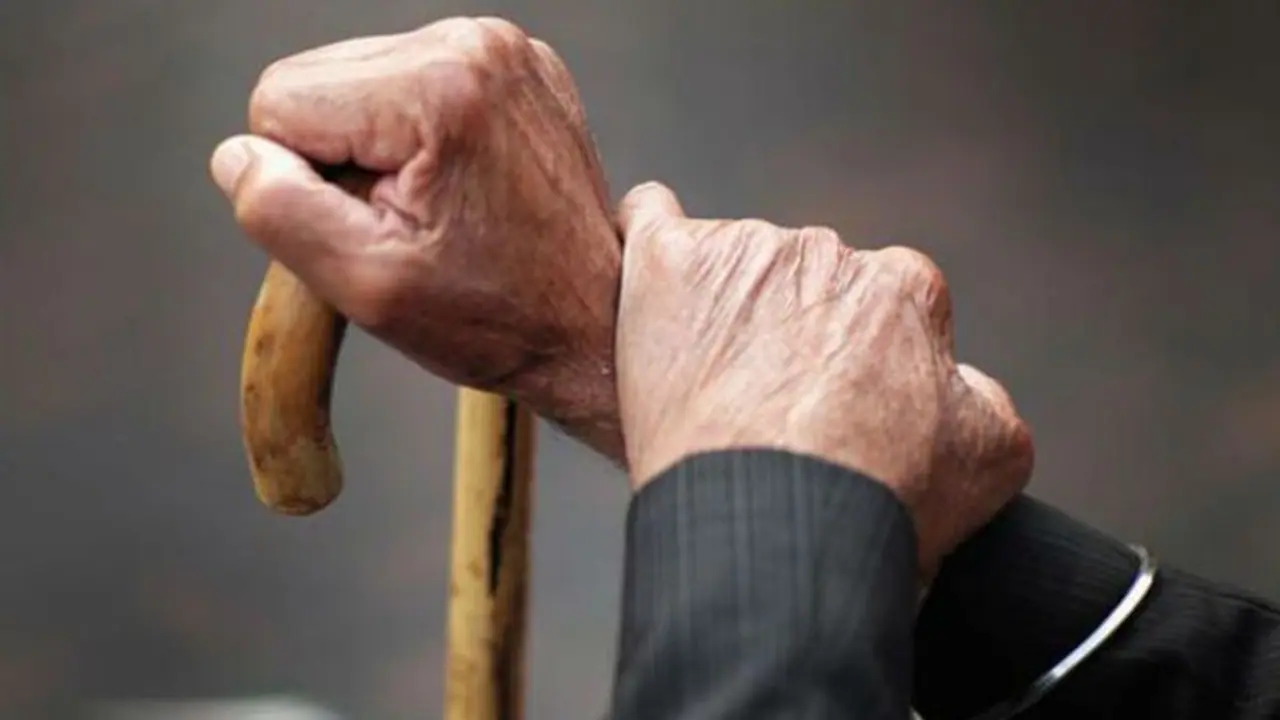 91 ఏళ్ల వయసులోనూ ఆయనింకా విద్యార్థే ... పీహెచ్‌డీ, డి.లిట్ పూర్తిచేసిన విశాఖవాసి 