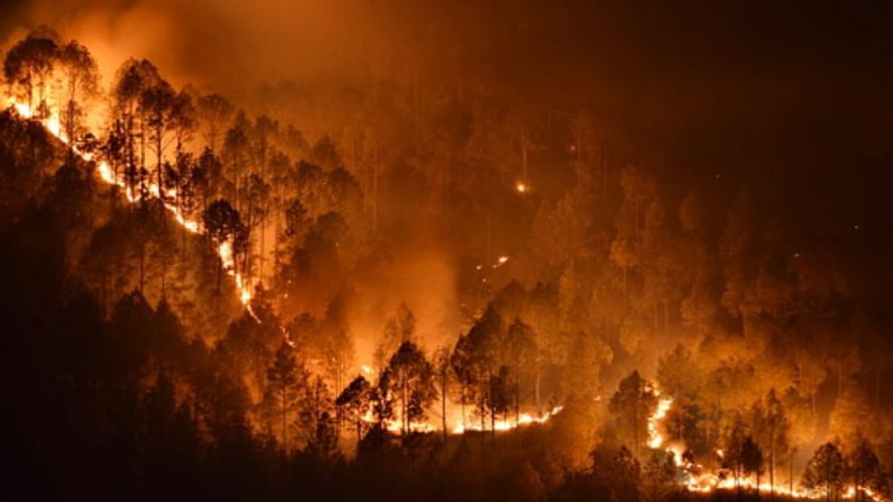 నల్లమల అడవుల్లో చెలరేగిన మంటలు... మూడు కిలోమీటర్లలో చెట్లు దగ్దం