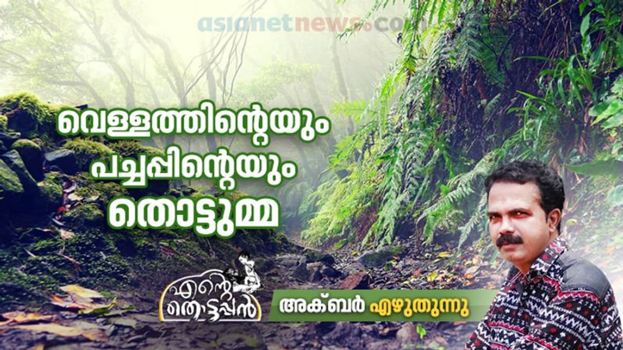 തൊട്ടപ്പന്‍ എന്ന നിലയില്‍ നേര്യമംഗലം കാടും മലയും നദിയും