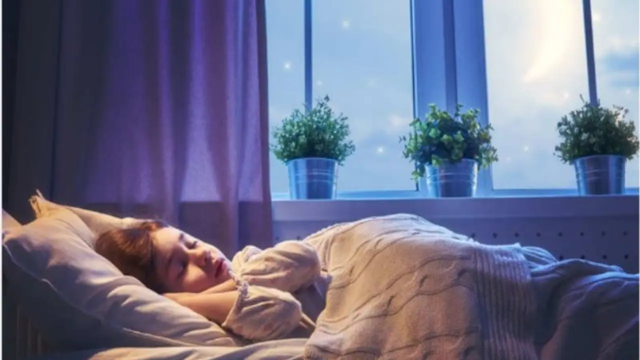 স্বস্তির ঘুম ঘুমতে জেনে রাখুন কী কী করা উচিত আর কোন অভ্যাস এড়িয়ে যাবেন স্বস্তির ঘুম ঘুমতে জেনে রাখুন কী কী করা উচিত আর কোন অভ্যাস এড়িয়ে যাবেন