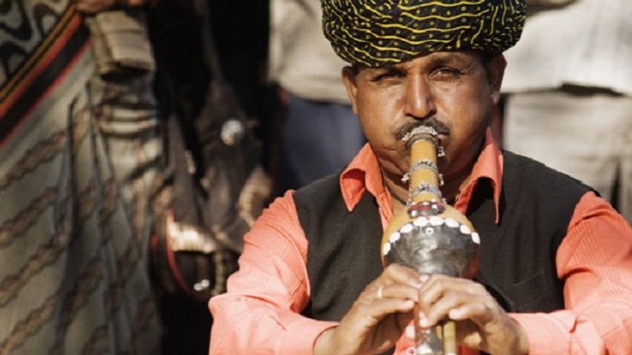 ಅವಧಿಪೂರ್ವ ಜನಿಸಿದ ಮಕ್ಕಳ ಮೆದುಳಿಗೆ ಪುಂಗಿ ಚಿಕಿತ್ಸೆ! ಅವಧಿಪೂರ್ವ ಜನಿಸಿದ ಮಕ್ಕಳ ಮೆದುಳಿಗೆ ಪುಂಗಿ ಚಿಕಿತ್ಸೆ!