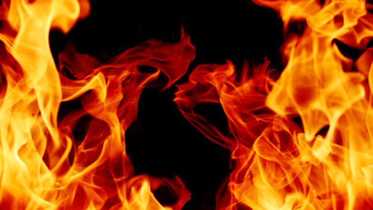 হোয়াইট হাউসের বাইরে আচমকাই অগ্নিদগ্ধ এক ব্যক্তি, ভাইরাল চাঞ্চল্যকর ভিডিও