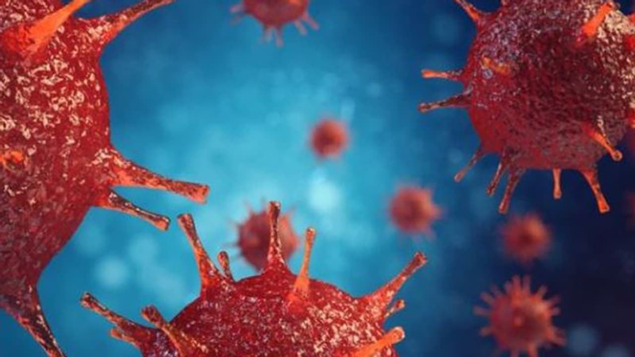 এই পাঁচ ক্যানসার শরীরে গোপনে বাসা বাঁধে! জেনে নিয়ে সতর্ক হোন এই পাঁচ ক্যানসার শরীরে গোপনে বাসা বাঁধে! জেনে নিয়ে সতর্ক হোন