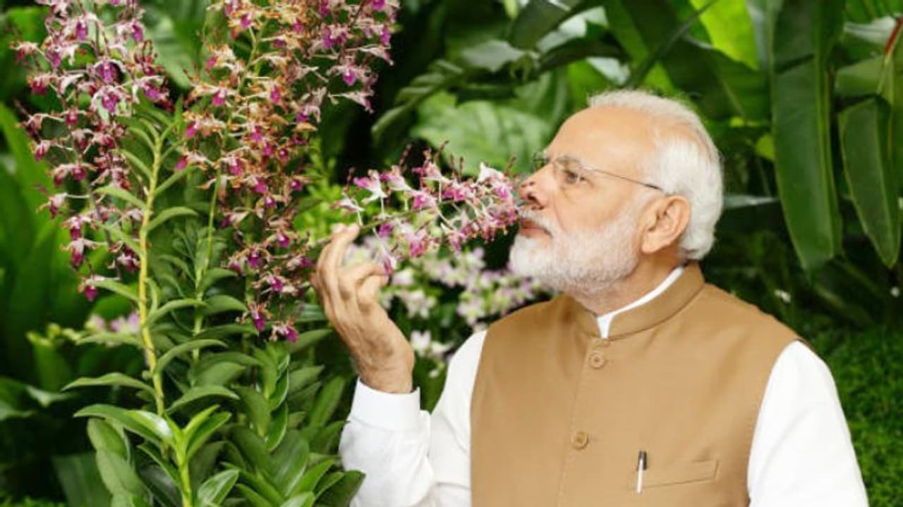 প্রধানমন্ত্রীর সঙ্গে নৈশভোজে যেতে চান 'ভারত' এর নায়িকা প্রধানমন্ত্রীর সঙ্গে নৈশভোজে যেতে চান 'ভারত' এর নায়িকা