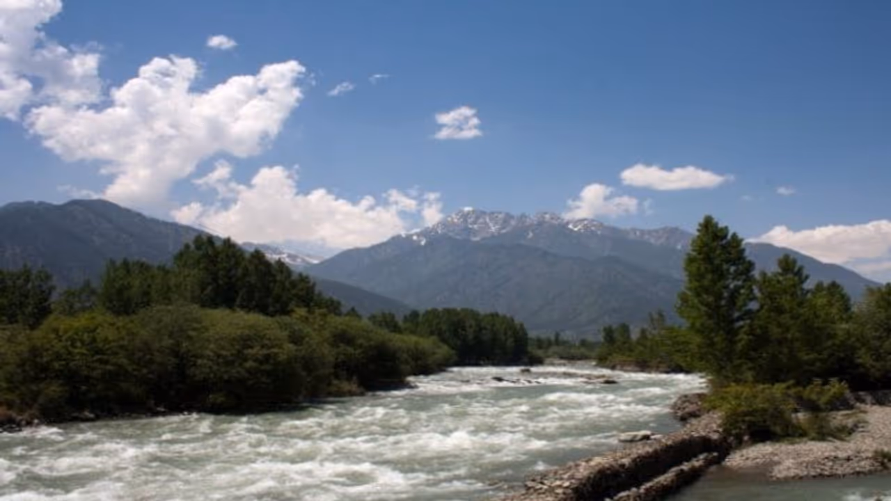 নিজের প্রাণ তুচ্ছ, জীবন দিয়ে বাংলা সহ ভারতকে বার্তা দিলেন কাশ্মীরী যুবক