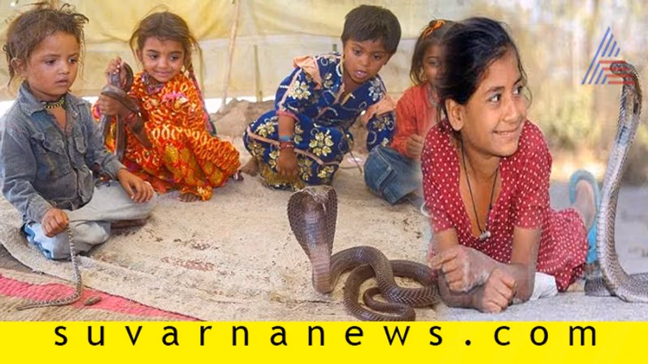 ಉರಗದೊಂದಿಗೇ ಸಮರದ ಜೀವನ ನಡೆಸೋ ಗ್ರಾಮವಿದು! ಉರಗದೊಂದಿಗೇ ಸಮರದ ಜೀವನ ನಡೆಸೋ ಗ್ರಾಮವಿದು!