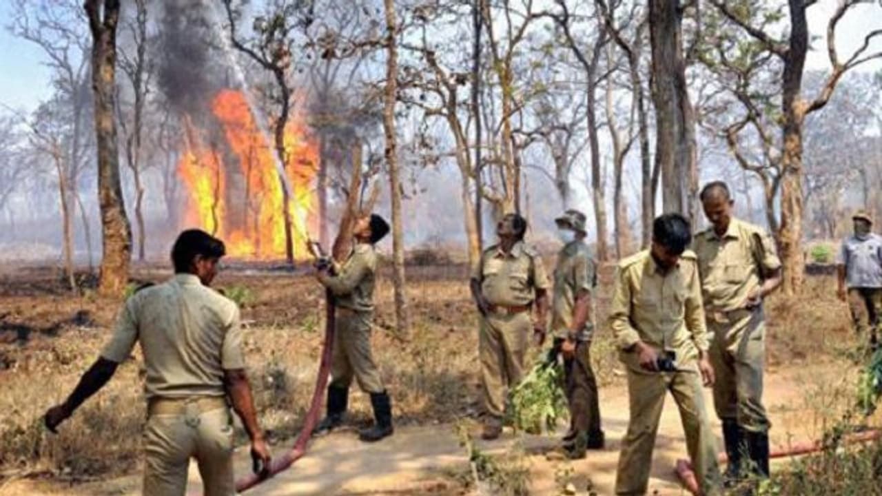 ಅರಣ್ಯ ರಕ್ಷಣೆಗೆ 3000 ಹೊಸ ಹುದ್ದೆ ಸೃಷ್ಟಿ ಅರಣ್ಯ ರಕ್ಷಣೆಗೆ 3000 ಹೊಸ ಹುದ್ದೆ ಸೃಷ್ಟಿ