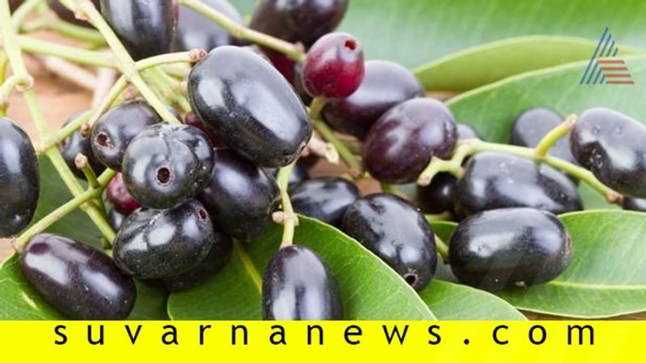 ತ್ವಚೆಯ ಸೌಂದರ್ಯಕ್ಕೆ ನೇರಳೆ: ನಾಚಿ ನೀರಾಗುವುದು ನಾರಿಯ ನೆರಳು! ತ್ವಚೆಯ ಸೌಂದರ್ಯಕ್ಕೆ ನೇರಳೆ: ನಾಚಿ ನೀರಾಗುವುದು ನಾರಿಯ ನೆರಳು!