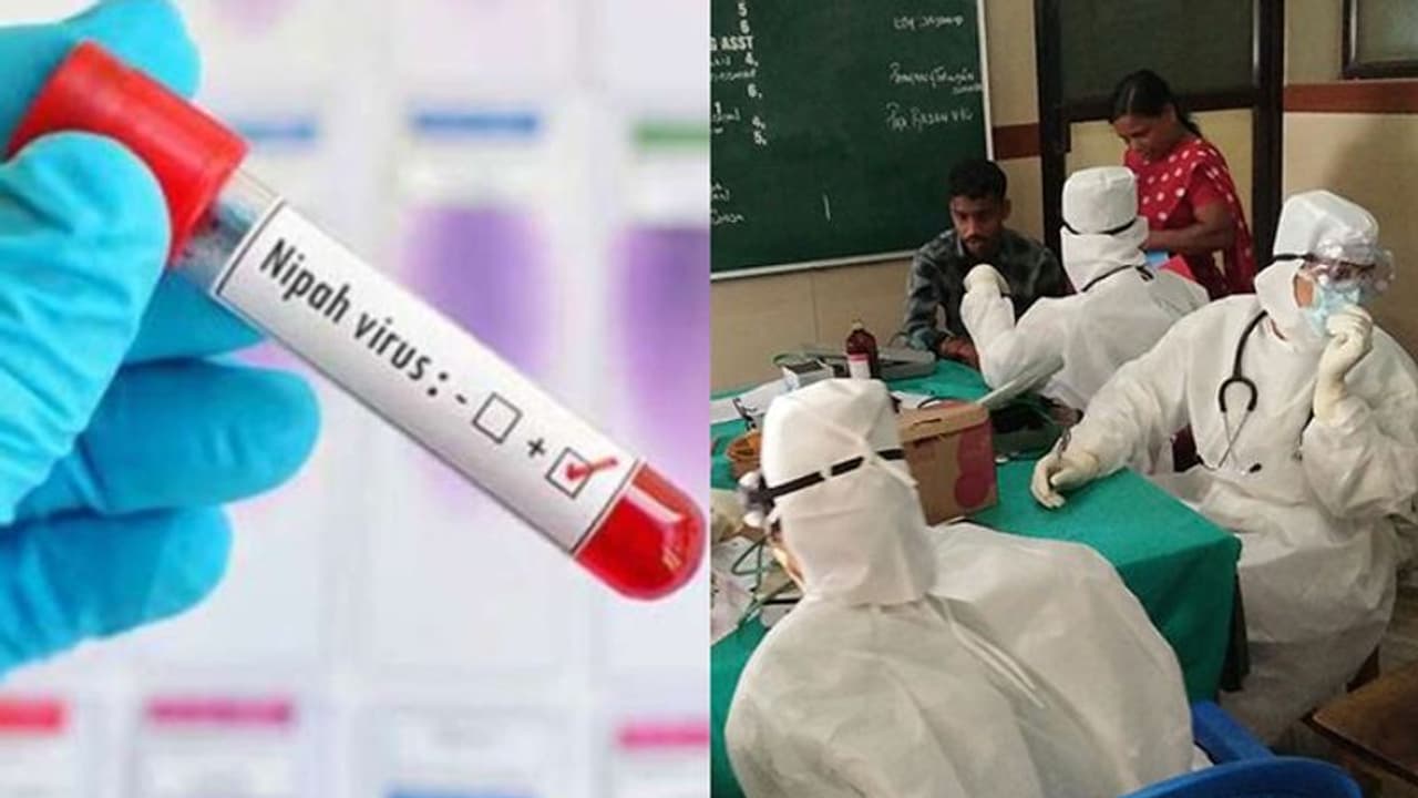 കേരളത്തിൽ വീണ്ടും നിപ? അറിയാം ലക്ഷണങ്ങള് എന്ത്, എങ്ങനെ, ചികിത്സ കേരളത്തിൽ വീണ്ടും നിപ? അറിയാം ലക്ഷണങ്ങള് എന്ത്, എങ്ങനെ, ചികിത്സ