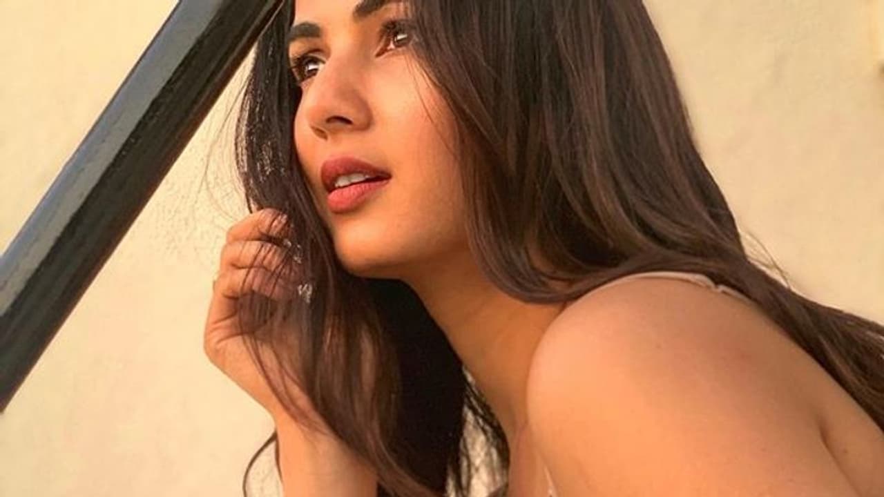 బాలయ్య పక్కన బికినిలో హీరోయిన్.. రెమ్యునరేషన్ పిండేసిందిగా! బాలయ్య పక్కన బికినిలో హీరోయిన్.. రెమ్యునరేషన్ పిండేసిందిగా!