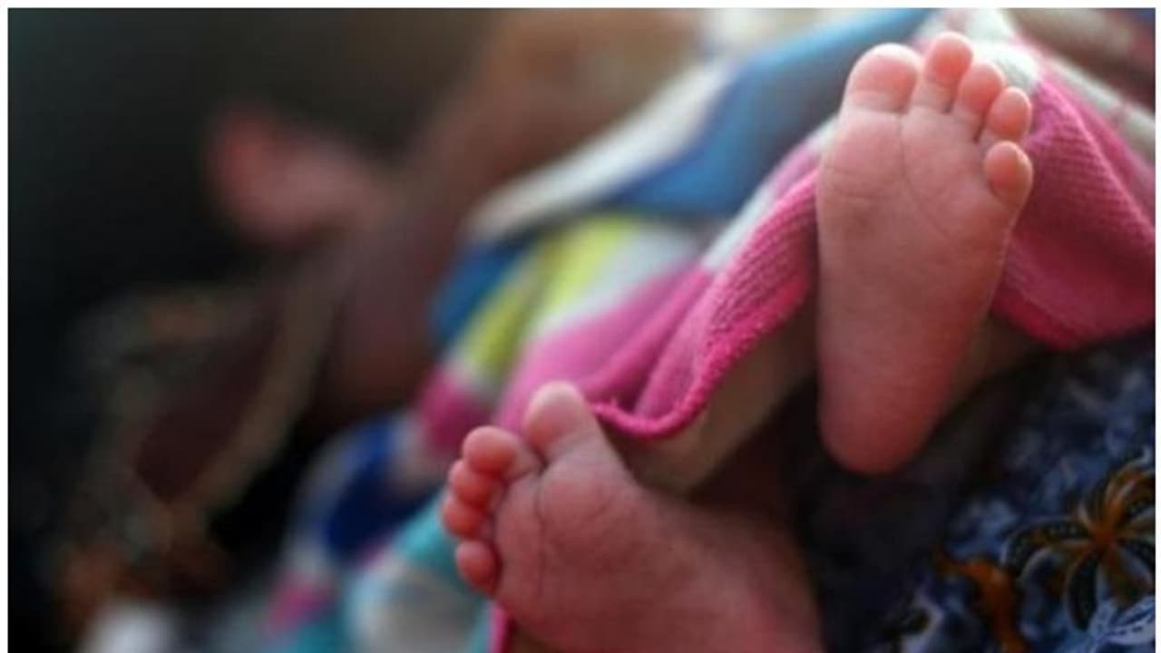 പെണ്കുഞ്ഞ് ജനിച്ചത് ഇഷ്ടപ്പെട്ടില്ല; പിഞ്ചുകുഞ്ഞിനെ അടിച്ച്, കഴുത്ത് ഞെരിച്ച് അമ്മ കൊലപ്പെടുത്തി പെണ്കുഞ്ഞ് ജനിച്ചത് ഇഷ്ടപ്പെട്ടില്ല; പിഞ്ചുകുഞ്ഞിനെ അടിച്ച്, കഴുത്ത് ഞെരിച്ച് അമ്മ കൊലപ്പെടുത്തി