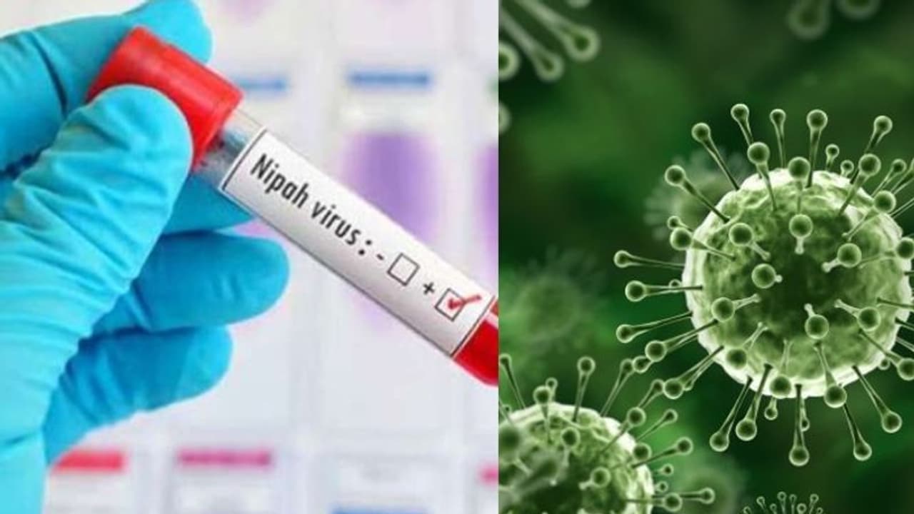 Nipah virus patient recovers, to be discharged from Kerala hospital on Tuesday after 47 days