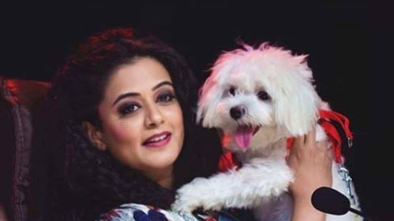 '56'ಕ್ಕೆ ಕಾಲಿಟ್ಟ ಪ್ರಿಯಾಮಣಿ! '56'ಕ್ಕೆ ಕಾಲಿಟ್ಟ ಪ್ರಿಯಾಮಣಿ!