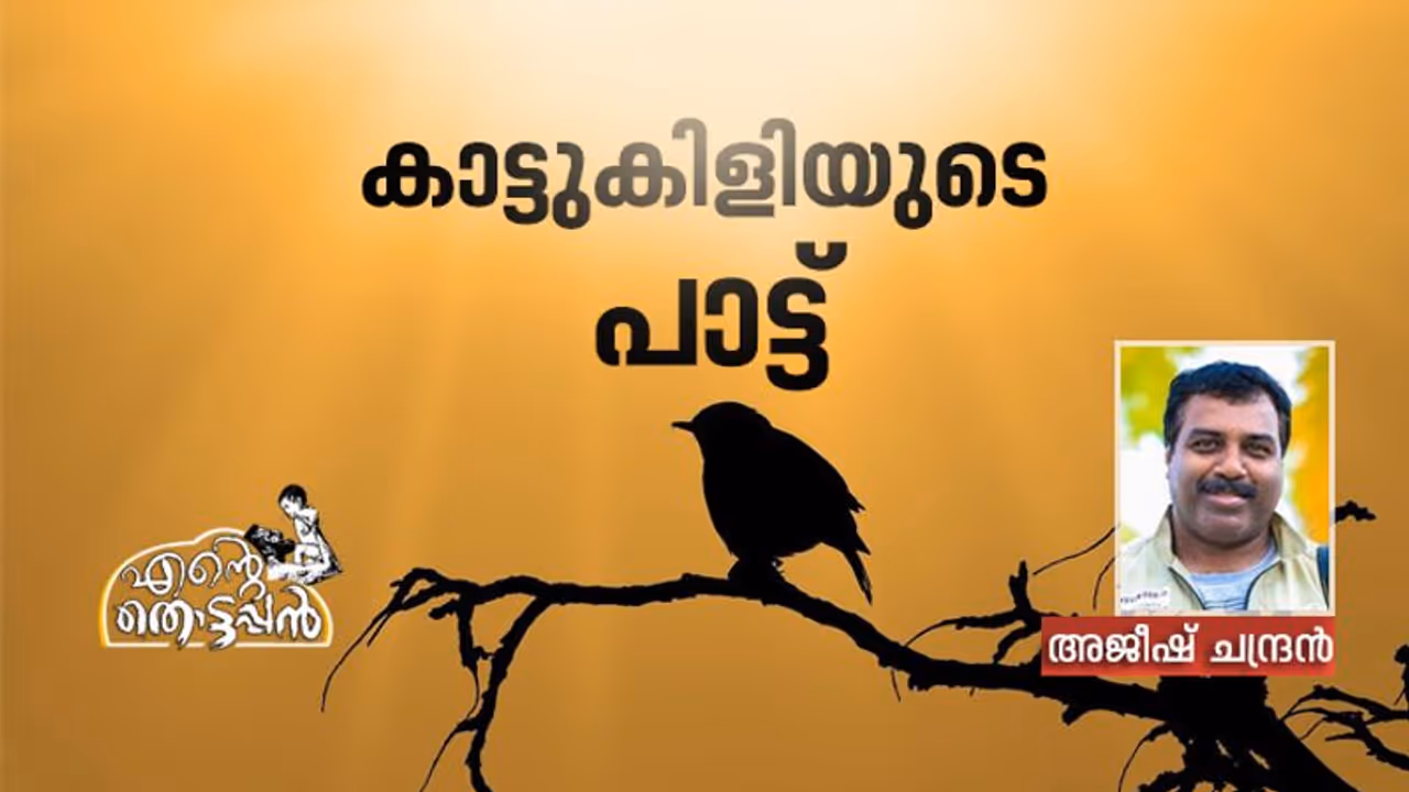 കാലമൊരുക്കി വച്ച തൊട്ടപ്പന്‍ മാജിക്ക്