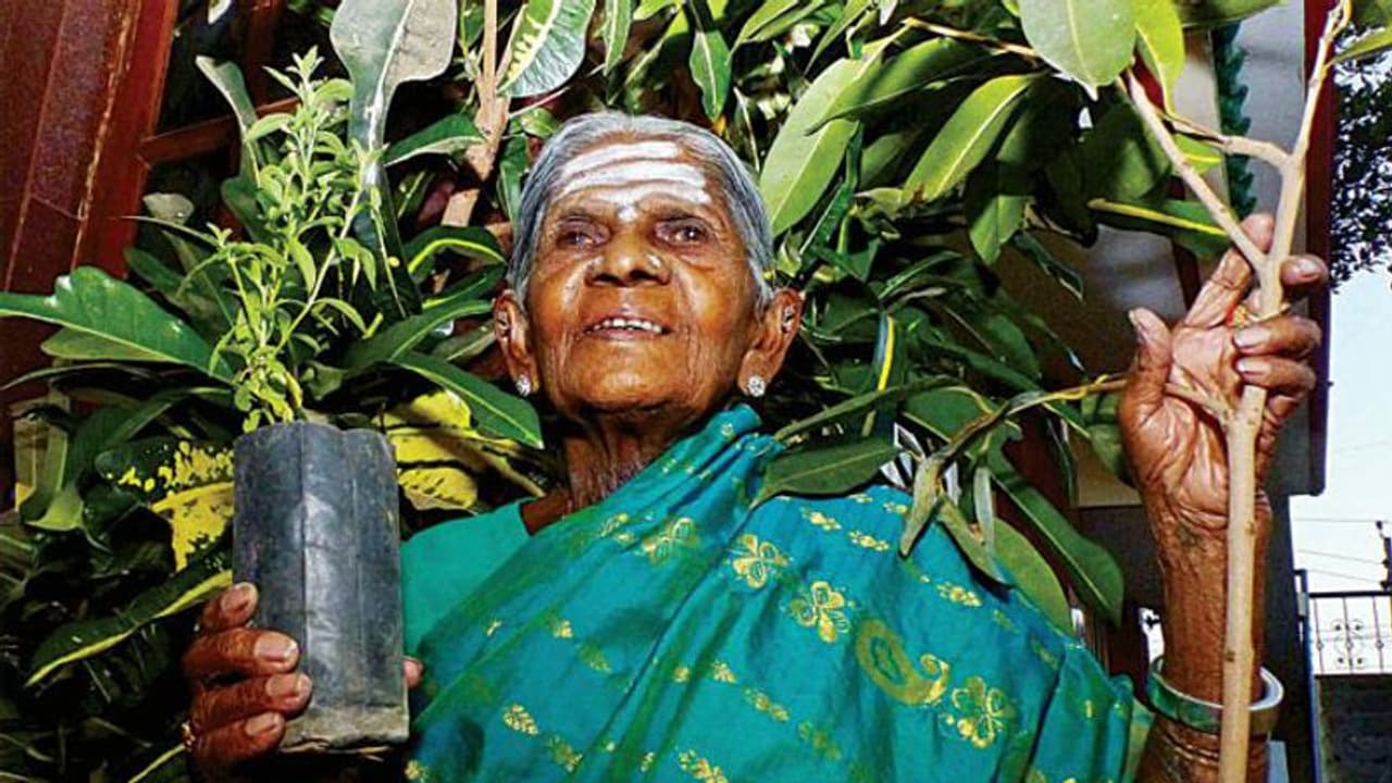 ಹೆಚ್ಚಿದ ಕಡಲ್ಕೊರೆತ: ನೆಲಕಚ್ಚುತ್ತಿದೆ ತಿಮ್ಮಕ್ಕ ವನದ ಬೇಲಿ