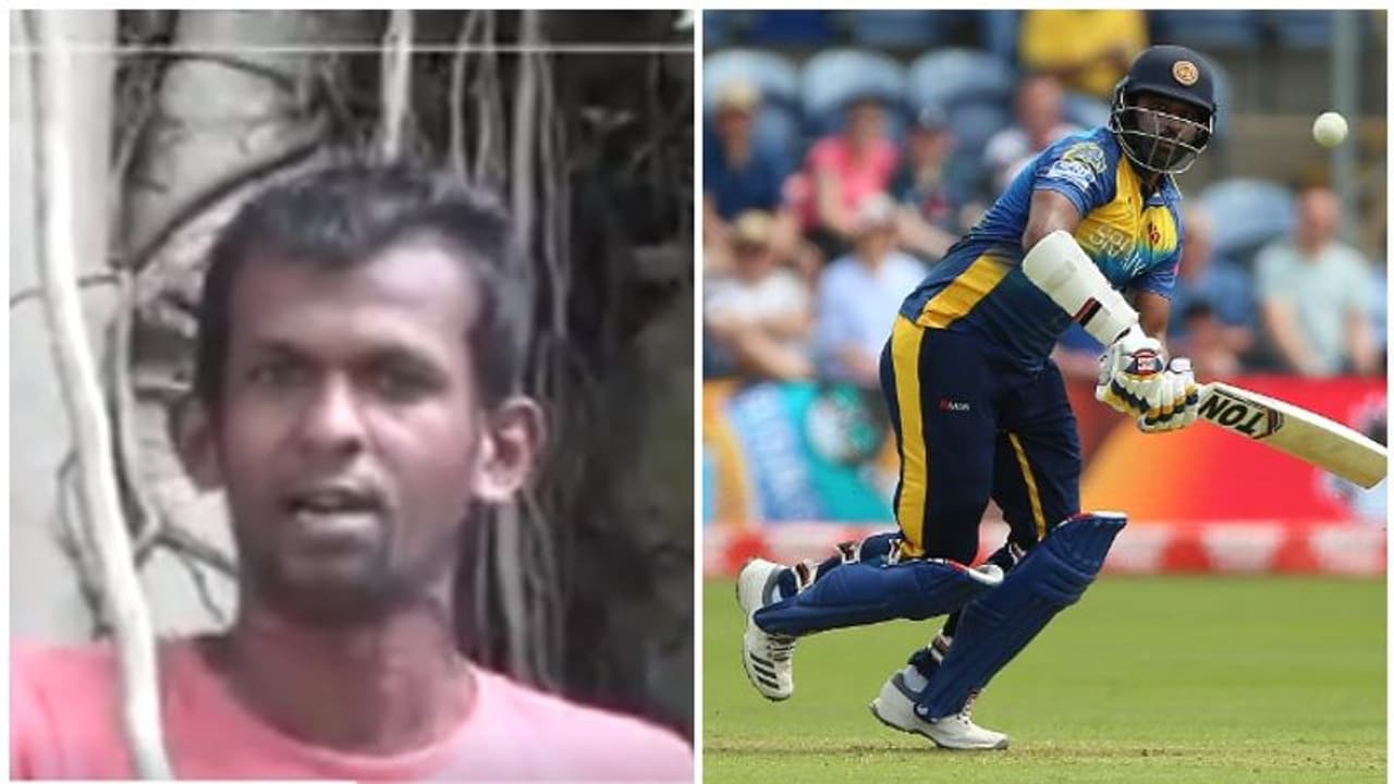 തിസാര പെരേരയെ ഓപ്പണറാക്കണമെന്ന് ആവശ്യം; മരത്തില് കയറി ആരാധകന്റെ സാഹസം തിസാര പെരേരയെ ഓപ്പണറാക്കണമെന്ന് ആവശ്യം; മരത്തില് കയറി ആരാധകന്റെ സാഹസം