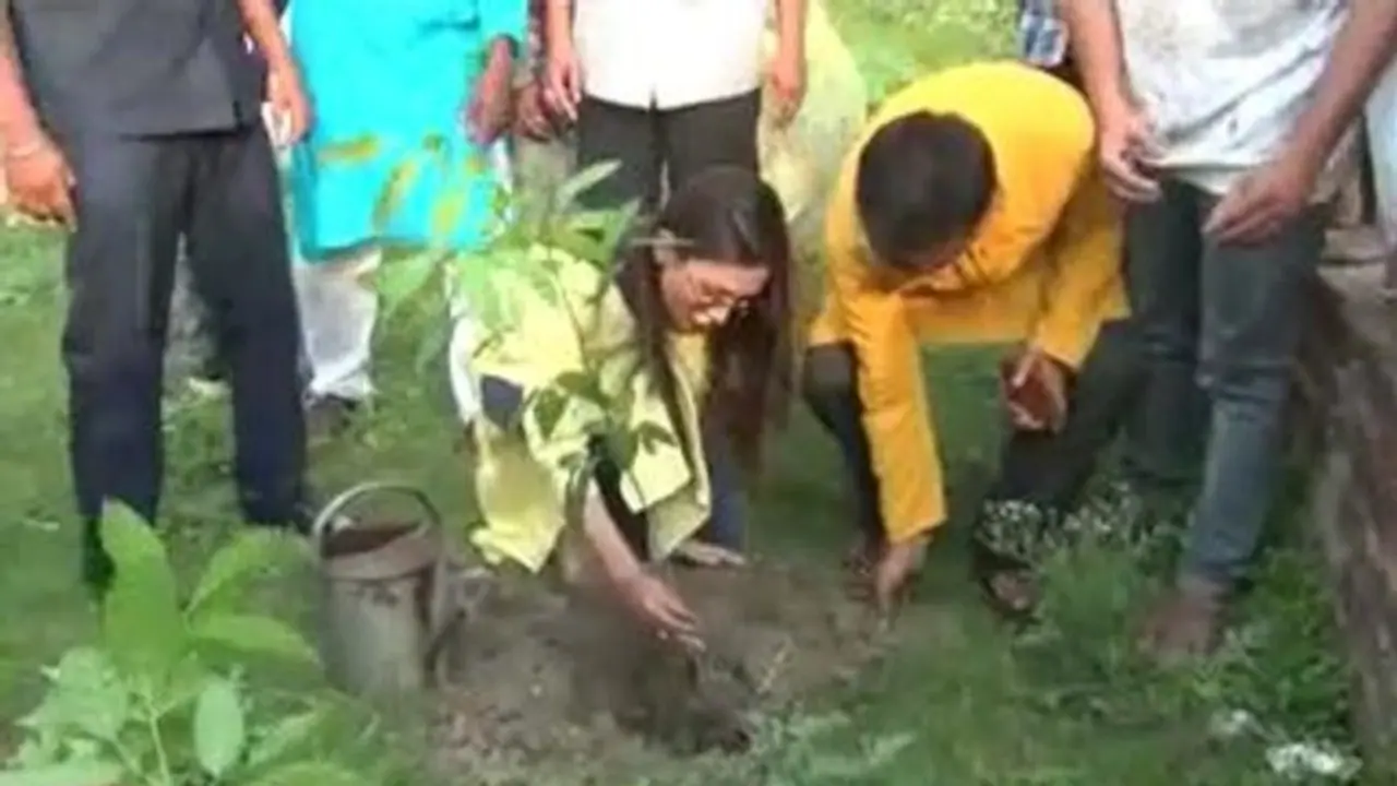 গাছ লাগিয়ে নাম রাখলেন 'মিমি গাছ'! বারুইপুর ঘুরে দেখে কী বললেন তারকা সাংসদ গাছ লাগিয়ে নাম রাখলেন 'মিমি গাছ'! বারুইপুর ঘুরে দেখে কী বললেন তারকা সাংসদ