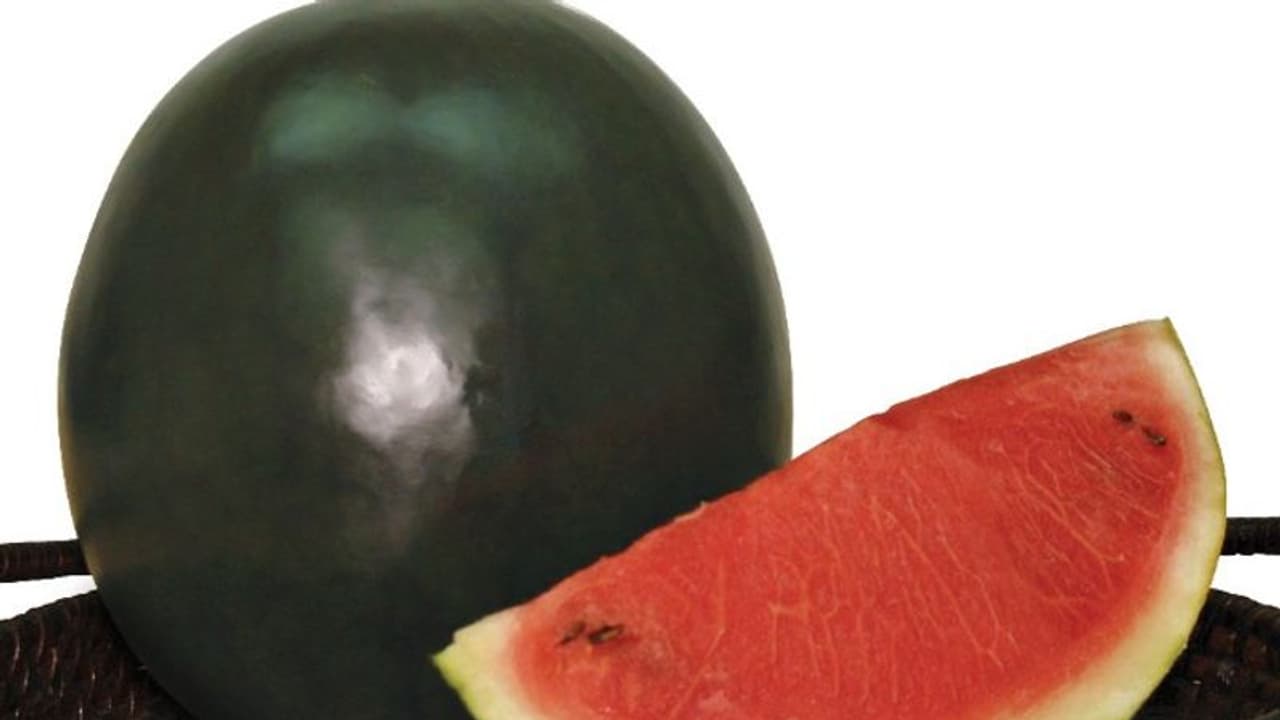 കണ്ടാല് പച്ചനിറത്തിലുള്ള തണ്ണിമത്തന്, തൊലി പൊളിച്ചപ്പോള് കണ്ടത് അമ്പരിപ്പിക്കുന്ന കാഴ്ച; ആരോപണവുമായി വീഡിയോ കണ്ടാല് പച്ചനിറത്തിലുള്ള തണ്ണിമത്തന്, തൊലി പൊളിച്ചപ്പോള് കണ്ടത് അമ്പരിപ്പിക്കുന്ന കാഴ്ച; ആരോപണവുമായി വീഡിയോ