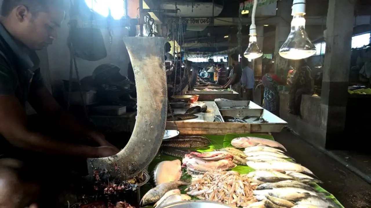 জামাইয়ের পাতে ইলিশ, পকেট থেকে খসবে কত, জানুন বাজার দর জামাইয়ের পাতে ইলিশ, পকেট থেকে খসবে কত, জানুন বাজার দর