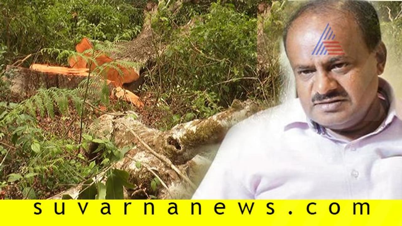 ಕೊಡಗಿನಲ್ಲಿ 890 ಮರ ಕಡಿತಕ್ಕೆ ಬ್ರೇಕ್: ಸುವರ್ಣ ನ್ಯೂಸ್ ಇಂಪ್ಯಾಕ್ಟ್ ಕೊಡಗಿನಲ್ಲಿ 890 ಮರ ಕಡಿತಕ್ಕೆ ಬ್ರೇಕ್: ಸುವರ್ಣ ನ್ಯೂಸ್ ಇಂಪ್ಯಾಕ್ಟ್