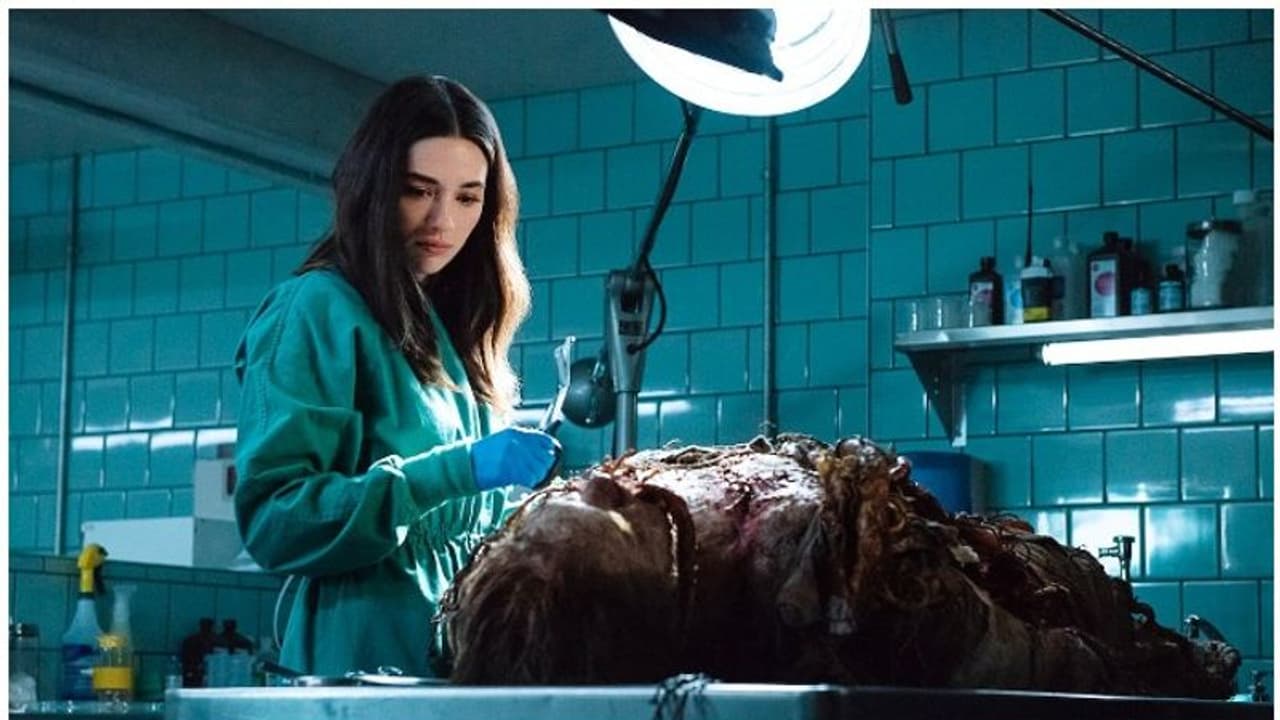 ഒറ്റ എപ്പിസോഡ്, 92% റേറ്റിങ്; ആരാധകരെ ഞെട്ടിച്ച് 'സ്വാമ്പ് തിങ്' പ്രദര്ശനം നിര്ത്തുന്നു! ഒറ്റ എപ്പിസോഡ്, 92% റേറ്റിങ്; ആരാധകരെ ഞെട്ടിച്ച് 'സ്വാമ്പ് തിങ്' പ്രദര്ശനം നിര്ത്തുന്നു!